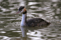 Stover Country Park